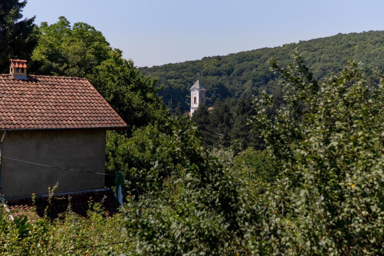 Willa Mi Casa 2 Vrdnik Zewnętrze zdjęcie